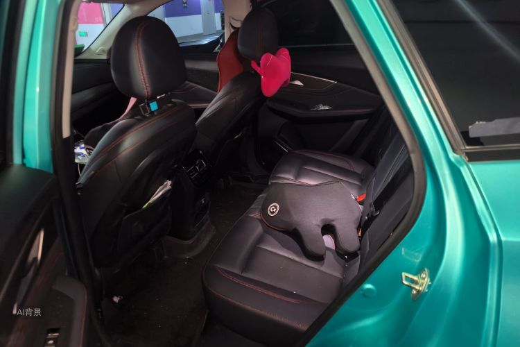 T5 EVO 2021 car image #19