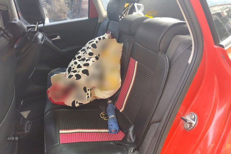 Polo 2015 #19 Polo 2015 immagine di auto #19