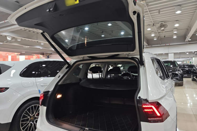 Volkswagen Tiguan L New Energy 2021 immagine di auto #19