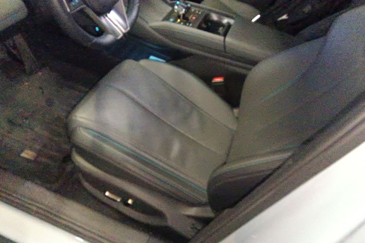 BYD Qin L 2024 car image #19