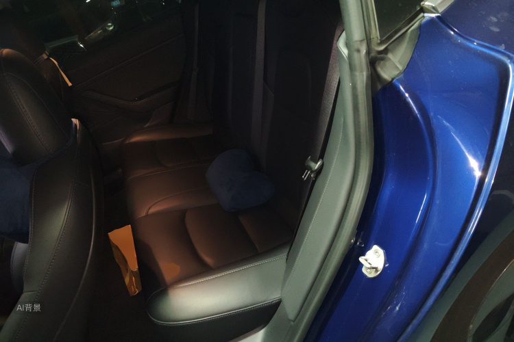 特斯拉 Model 3(进口) 2019 汽车图片 #19