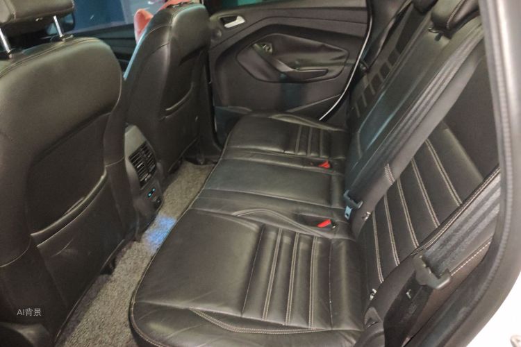 Ford Kuga 2017 imagem de carro #19