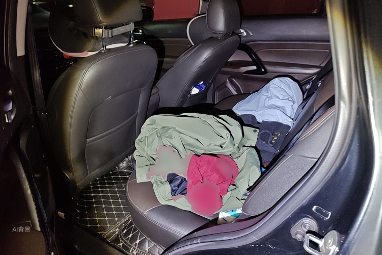 GAC Trumpchi GS4 2016 car image #19