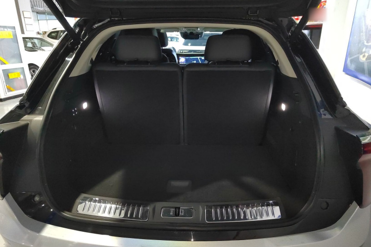 HongQi E-HS9 2023 immagine di auto #19