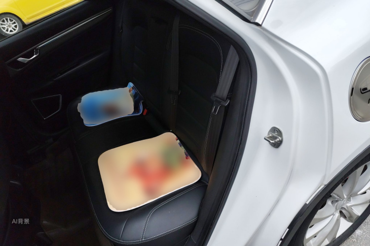 GEELY Emgrand GS 2017 car image #19