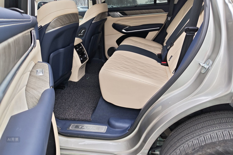 坦克 坦克500 2022 汽车图片 #19