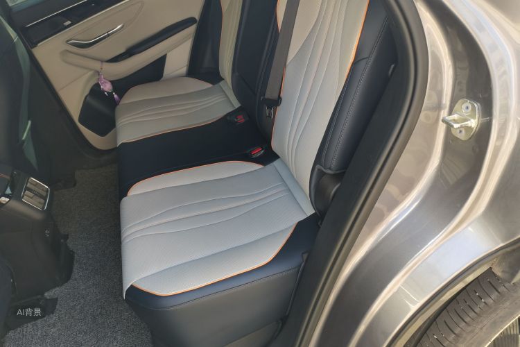 BYD Song Plus New Energy 2021 car image #19