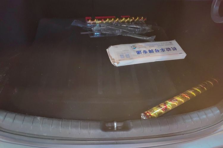 Hyundai Lafesta EV 2021 car image #19