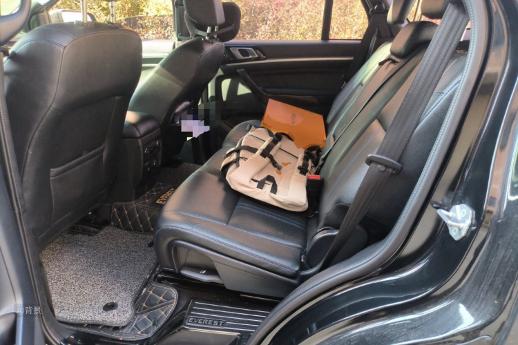 Ford Everest 2022 car image #19