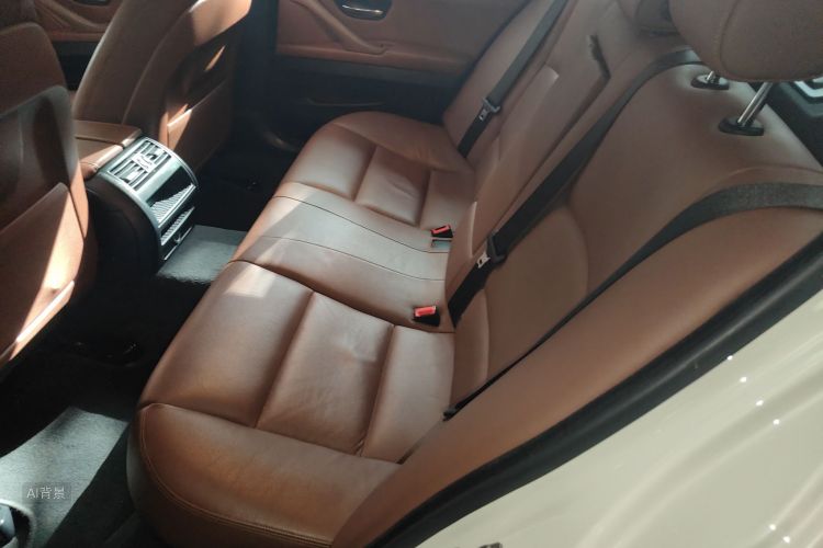 BMW 5 Series (Imported) 2017 car image #19