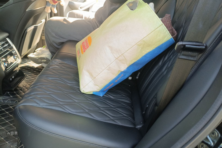 Tank 500 New Energy 2024 immagine di auto #19