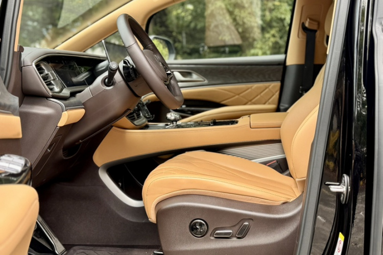 Denza D9 2025 изображение автомобиля #19