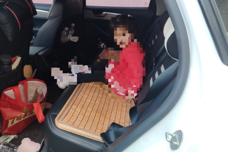 BYD Qin Pro 2019 imagen de coche #19