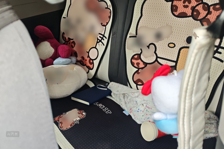 睿蓝汽车 2025 汽车图片 #19