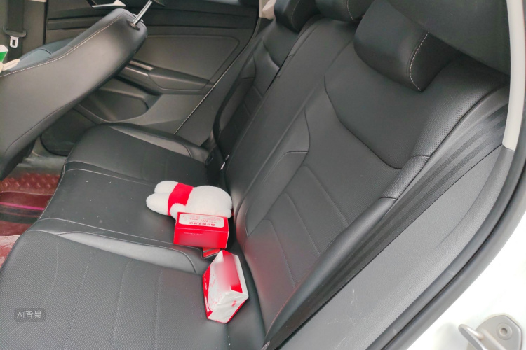 VS5 2019 car image #19