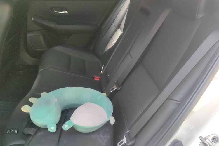 日产 轩逸 2021 汽车图片 #19