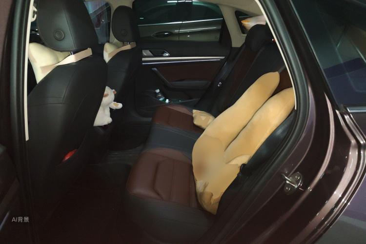 Volkswagen Lavida 2019 car image #19