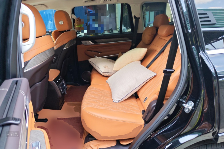 Tank 500 2023 immagine di auto #19