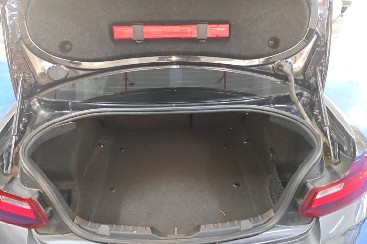 BMW M2 2017 immagine di auto #19