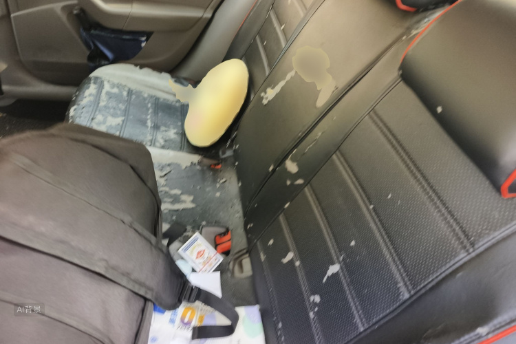 Skoda Octavia 2015 car image #19