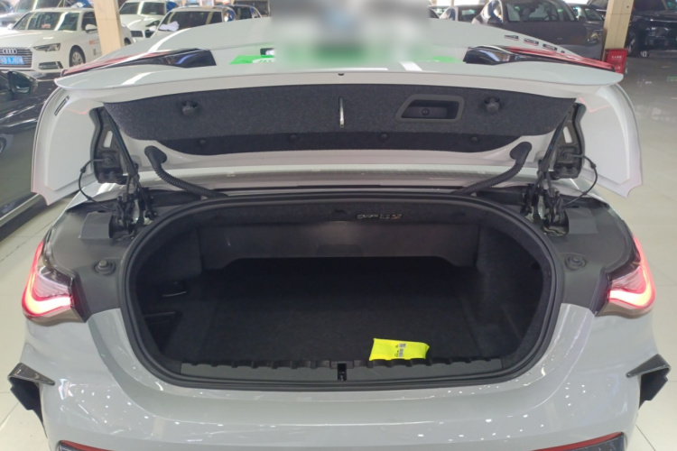 BMW 4 Series 2022 car image #19