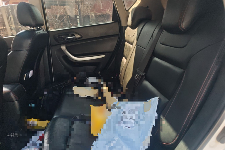 Changan CS35 2016 car image #19