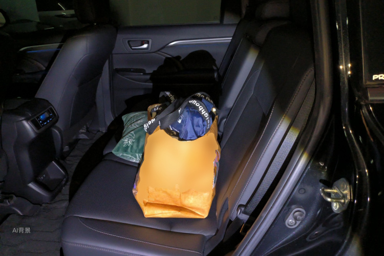 Toyota Highlander 2019 image de voiture #19