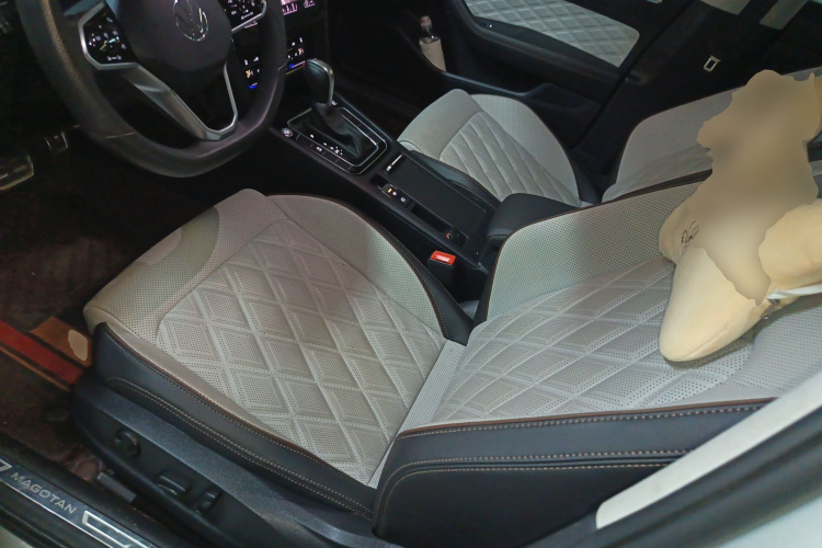 Volkswagen Magotan 2023 immagine di auto #19