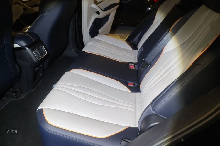 比亚迪 宋PLUS新能源 2022 汽车图片 #19