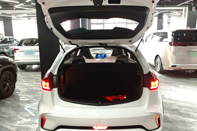 X3 PRO 2025 #19 X3 PRO 2025 car image #19