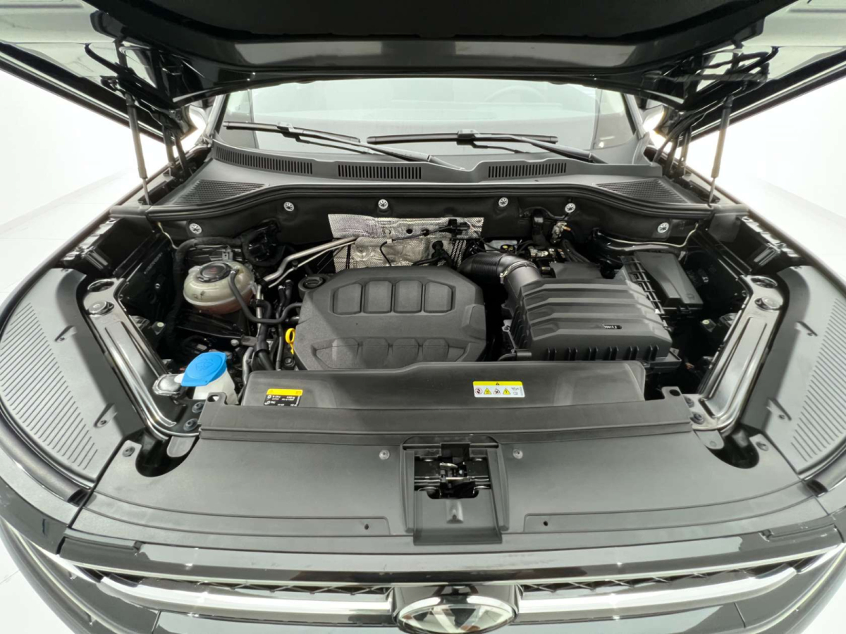 Volkswagen Tavendor 2023 car image #19