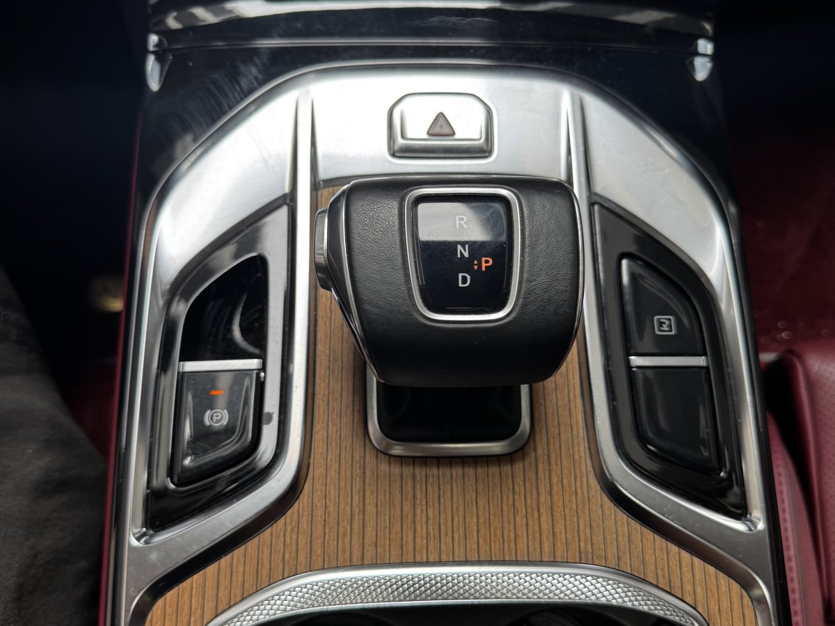 HongQi E-HS9 2021 #19 HongQi E-HS9 2021 immagine di auto #19