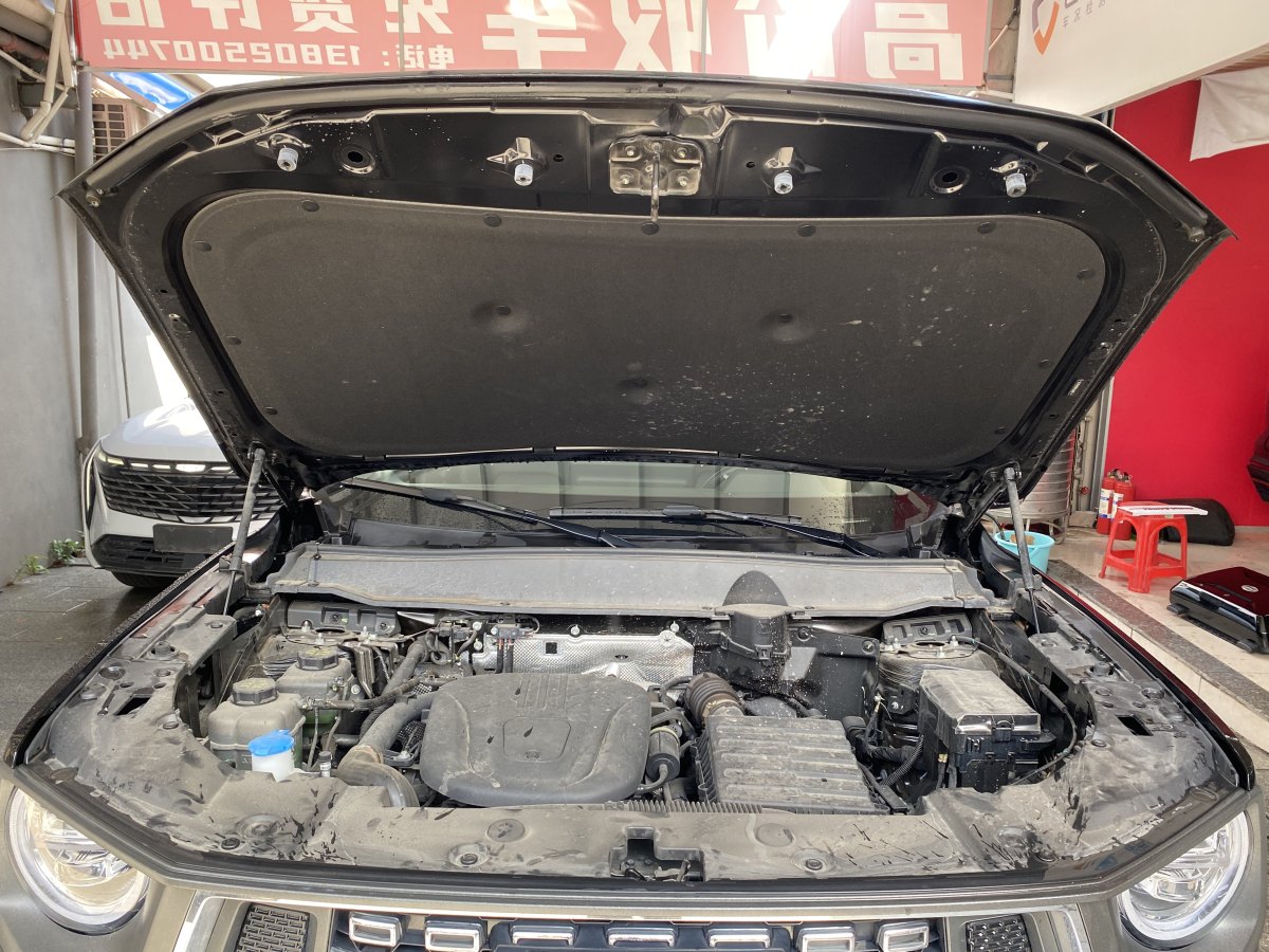 Haval X Dog 2 New Energy 2024 car image #19