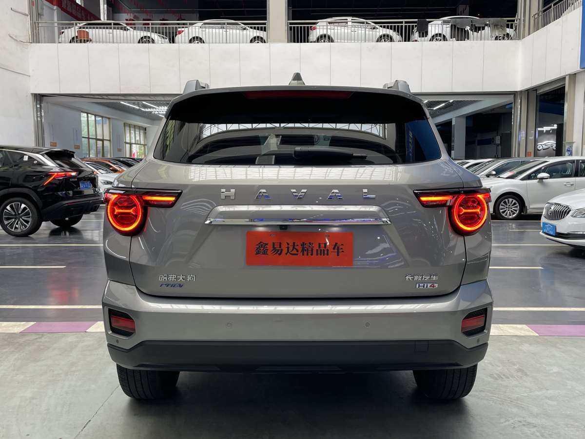Haval X Dog 2 New Energy 2024 car image #19