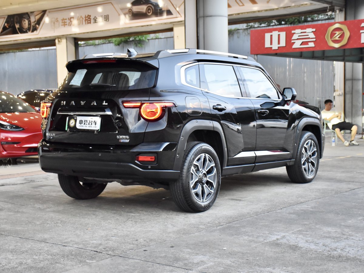 Haval X Dog 2 New Energy 2023 car image #19