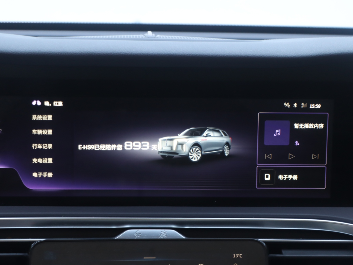 HongQi E-HS9 2023 car image #19