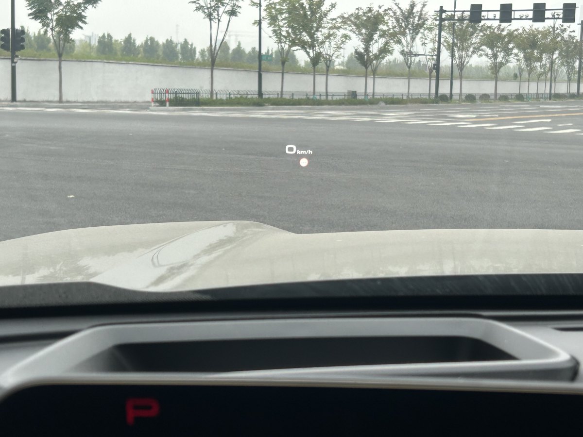 Haval X Dog 2 New Energy 2024 car image #19