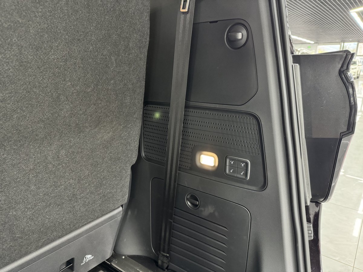 HongQi HQ9 PHEV 2024 car image #19