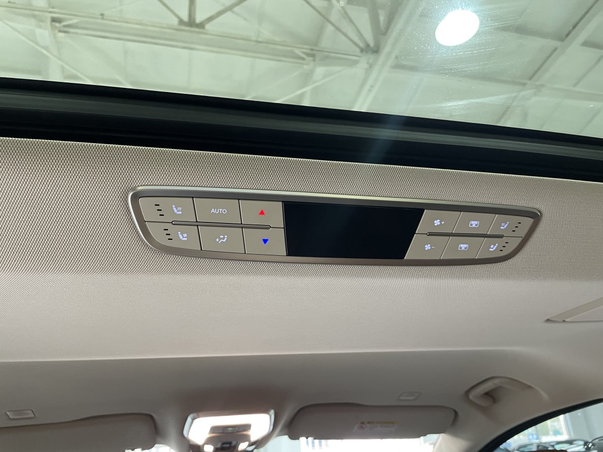 HongQi HQ9 2023 immagine di auto #19