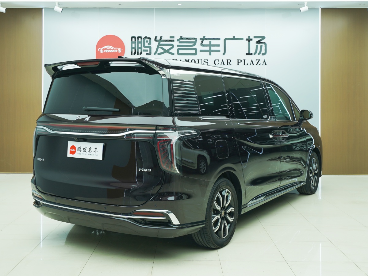 HongQi HQ9 2023 #19 HongQi HQ9 2023 car image #19