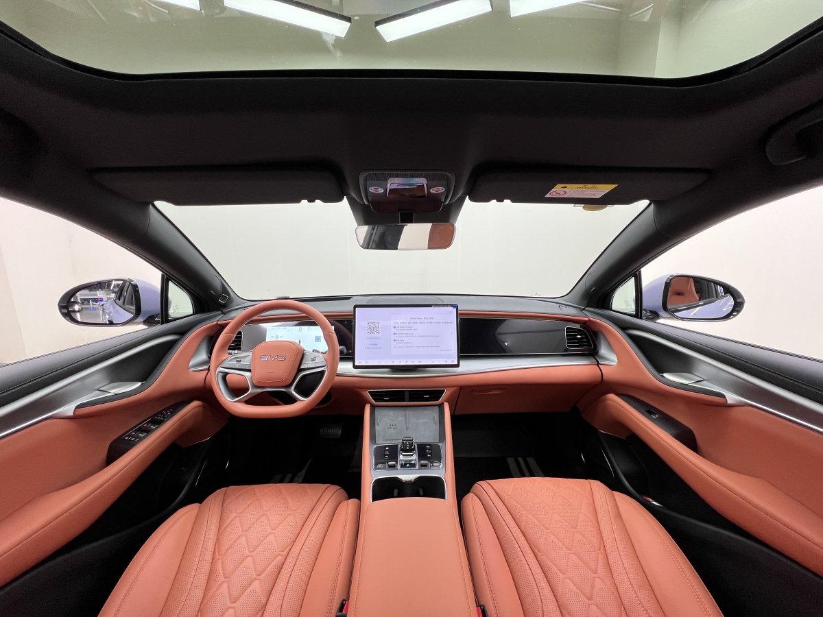 BYD Sea Lion 07 EV 2025 car image #19