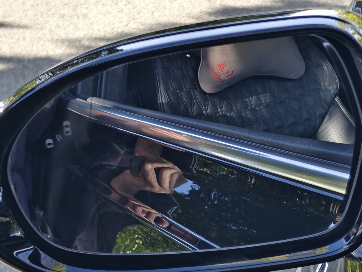 HongQi H9 2022 #19 HongQi H9 2022 immagine di auto #19