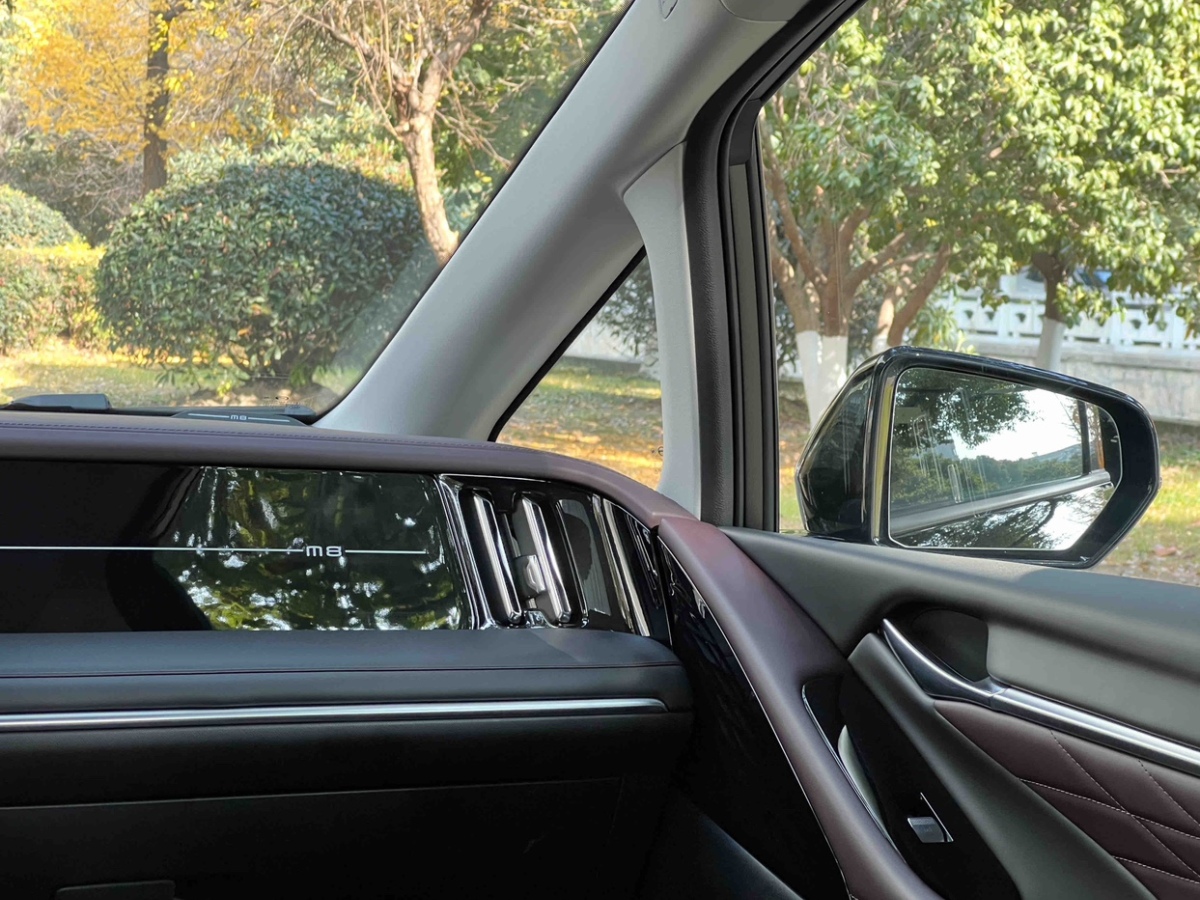 GAC Trumpchi M8 2024 car image #19