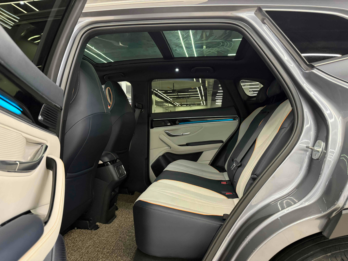 BYD Song Plus New Energy 2022 car image #19