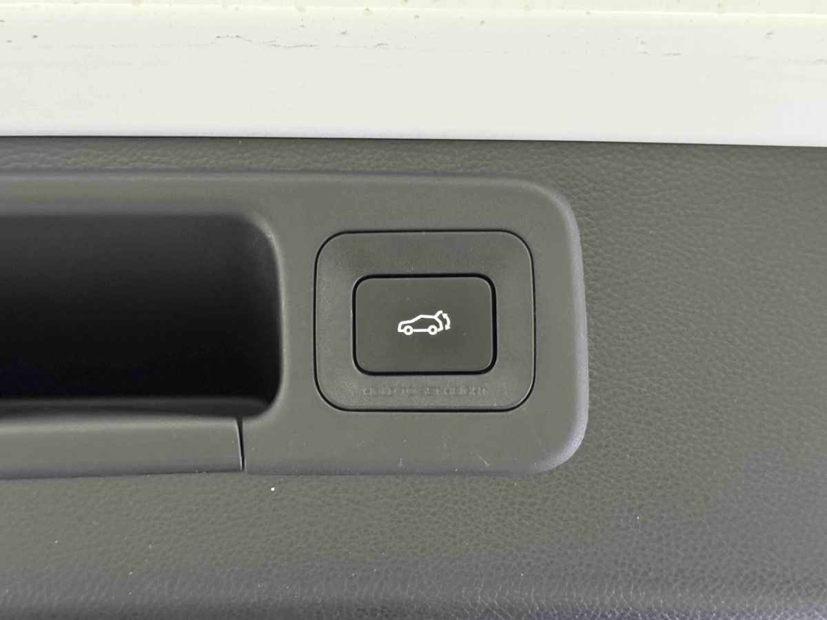 GAC Trumpchi ES9 2024 car image #19