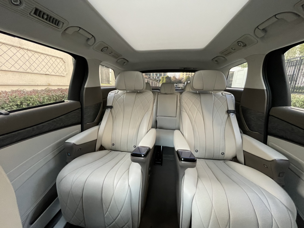 Denza D9 2023 #19 Denza D9 2023 car image #19