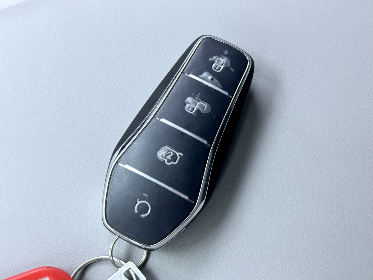 BYD Sea Lion 06 New Energy 2025 car image #19