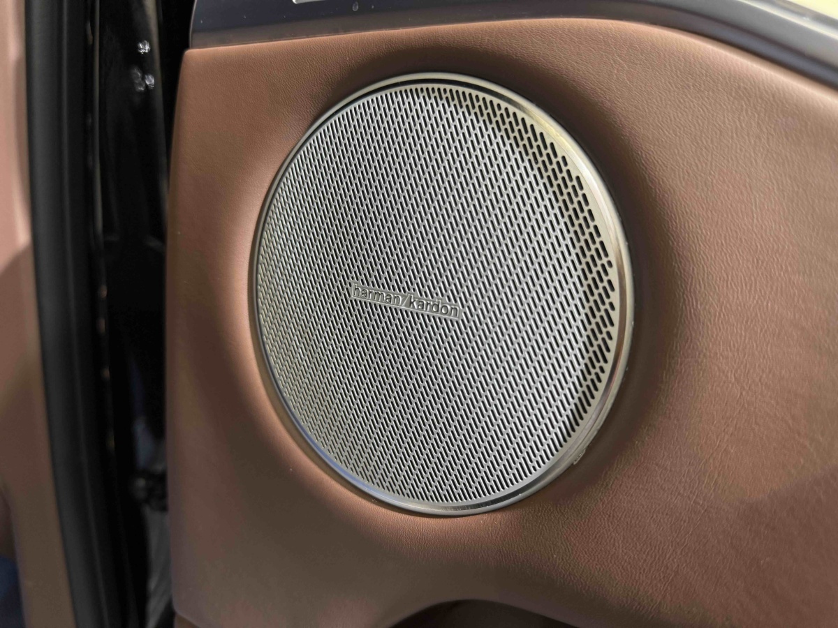 Tank 700 New Energy 2024 #19 Tank 700 New Energy 2024 immagine di auto #19