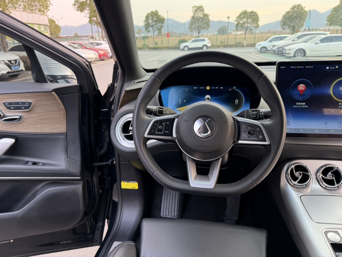 Denza X 2021 image de voiture #19