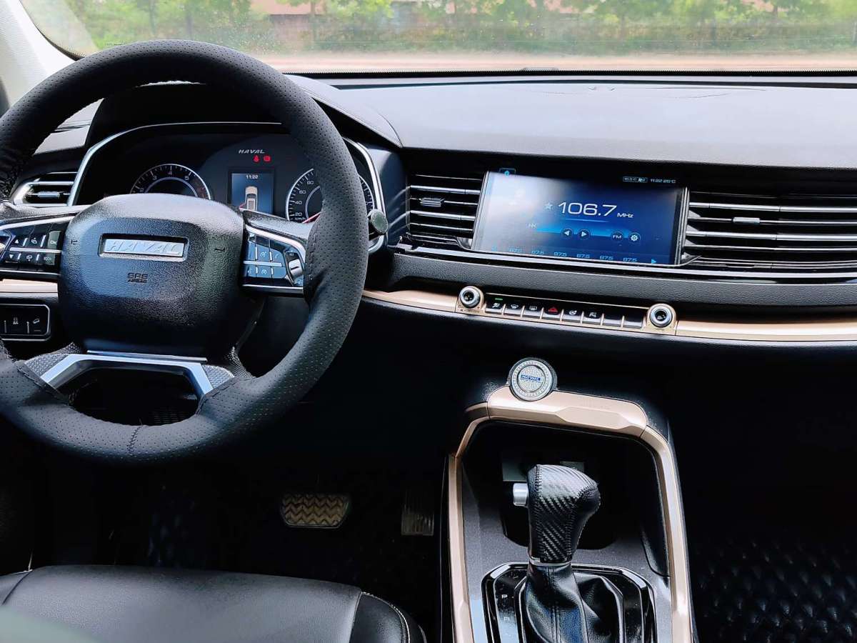 Haval 2019 car image #19
